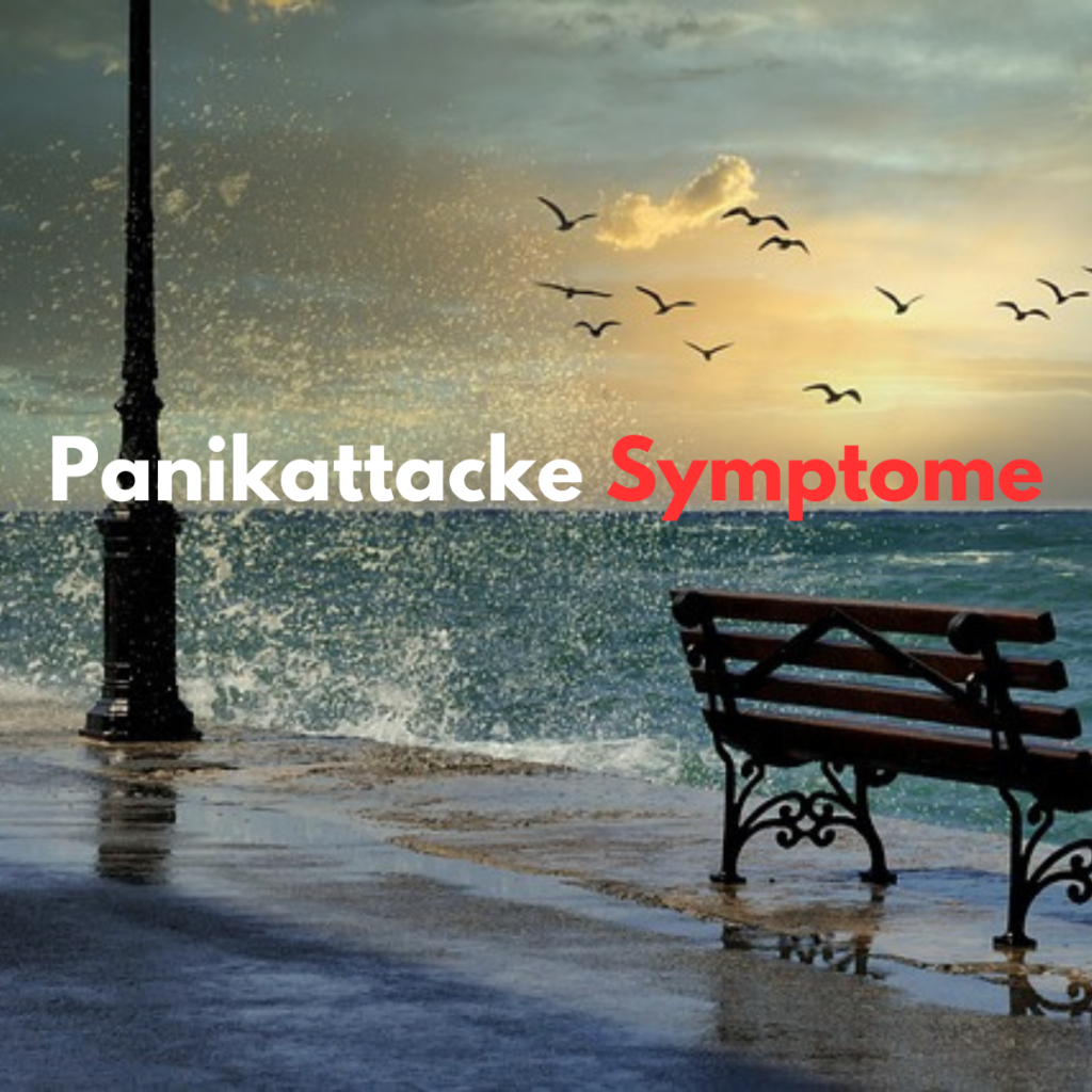 Panikattacke Symptome
