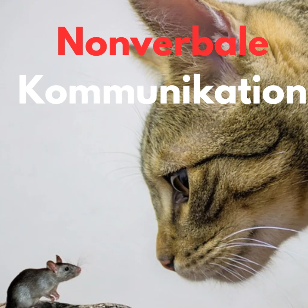 Nonverbale Kommunikation